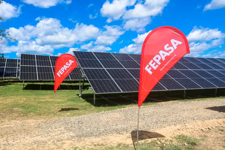Parque_Solar_Fotovoltaico-FEPASA_24